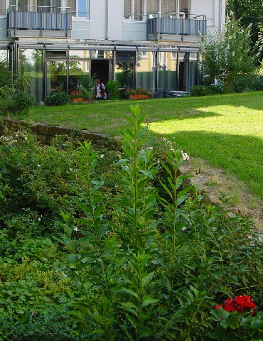 Garten