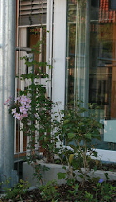 Terrassenberankung