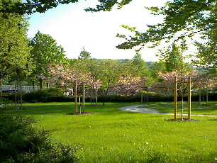 Blick von Norden